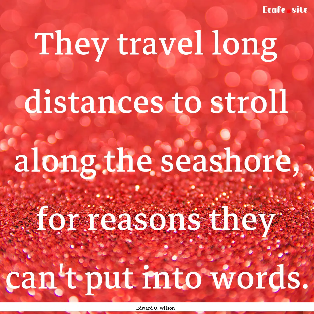 They travel long distances to stroll along.... : Quote by Edward O. Wilson