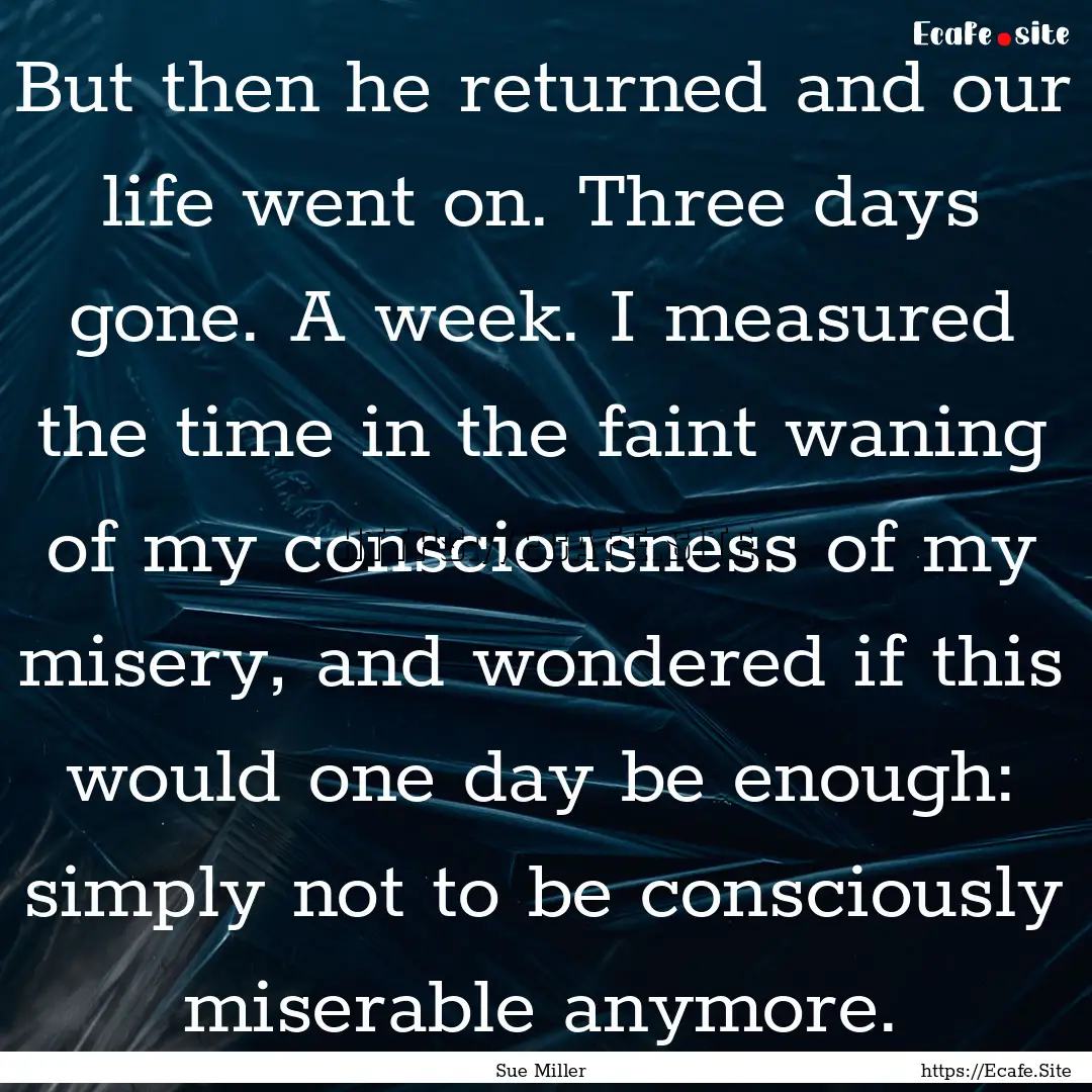 But then he returned and our life went on..... : Quote by Sue Miller