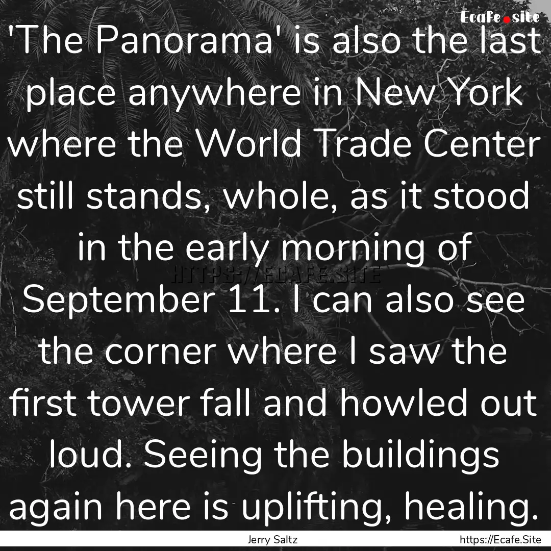 'The Panorama' is also the last place anywhere.... : Quote by Jerry Saltz