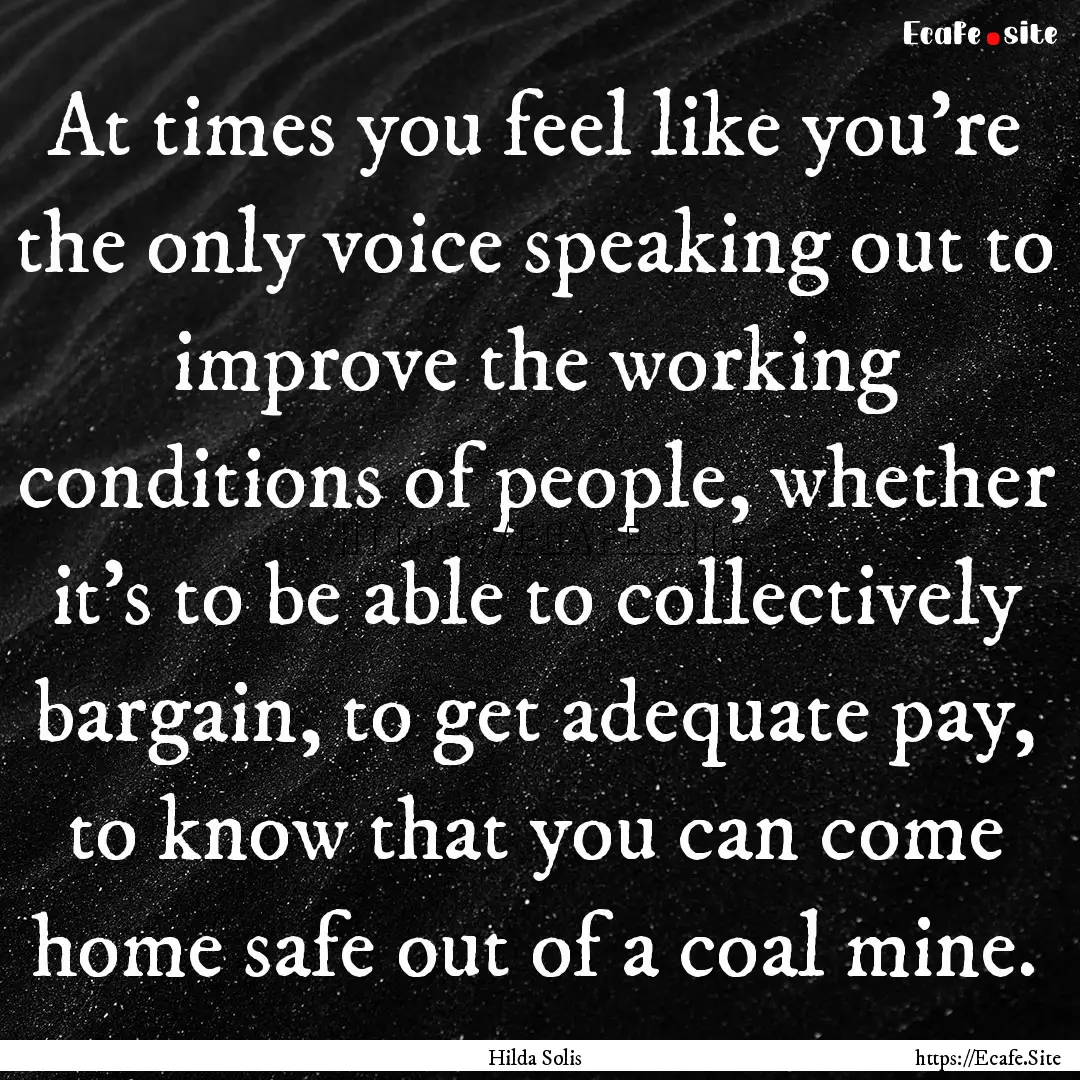 At times you feel like you're the only voice.... : Quote by Hilda Solis