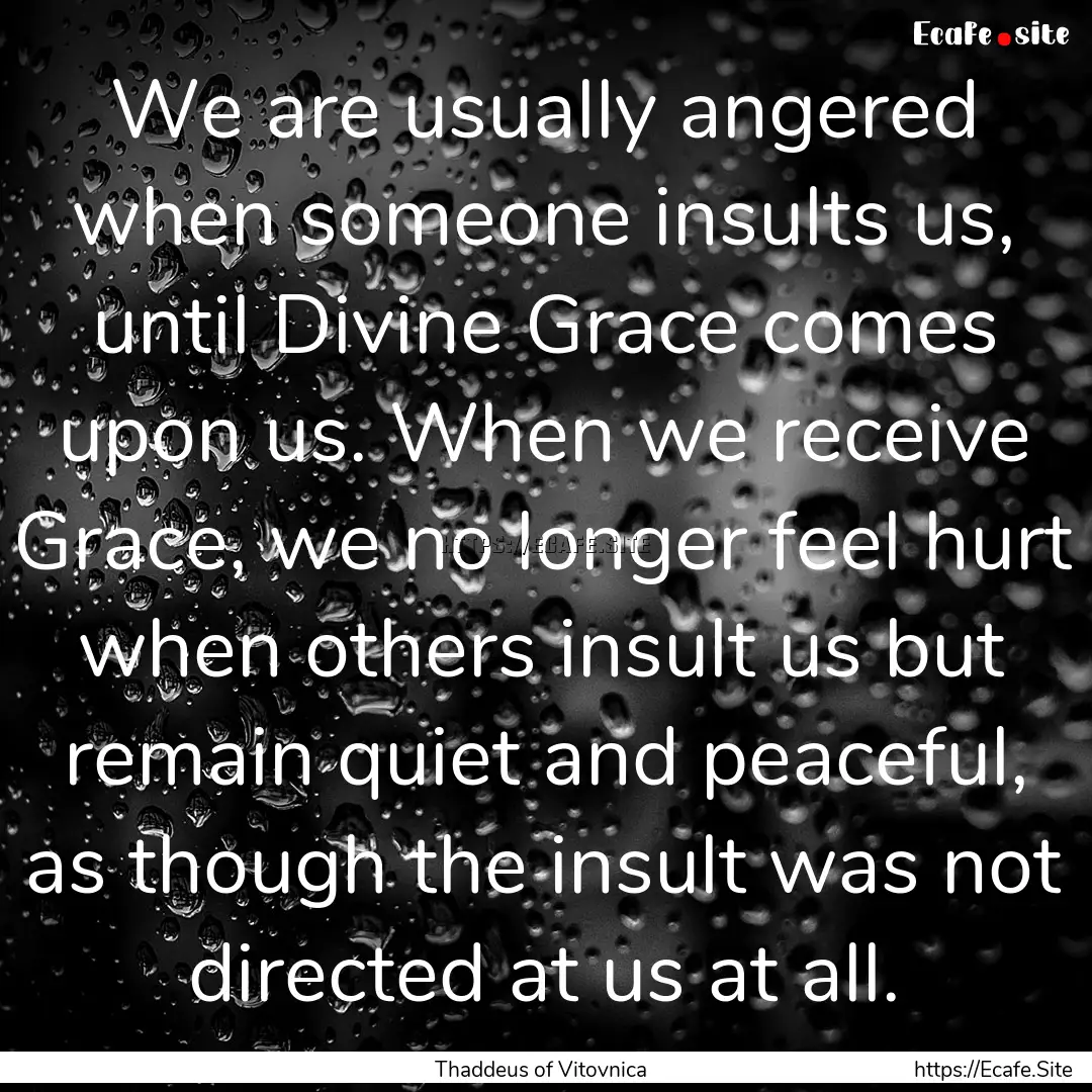 We are usually angered when someone insults.... : Quote by Thaddeus of Vitovnica