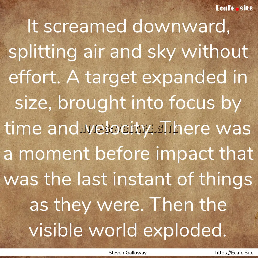 It screamed downward, splitting air and sky.... : Quote by Steven Galloway