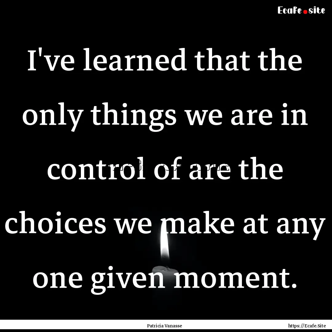 I've learned that the only things we are.... : Quote by Patricia Vanasse