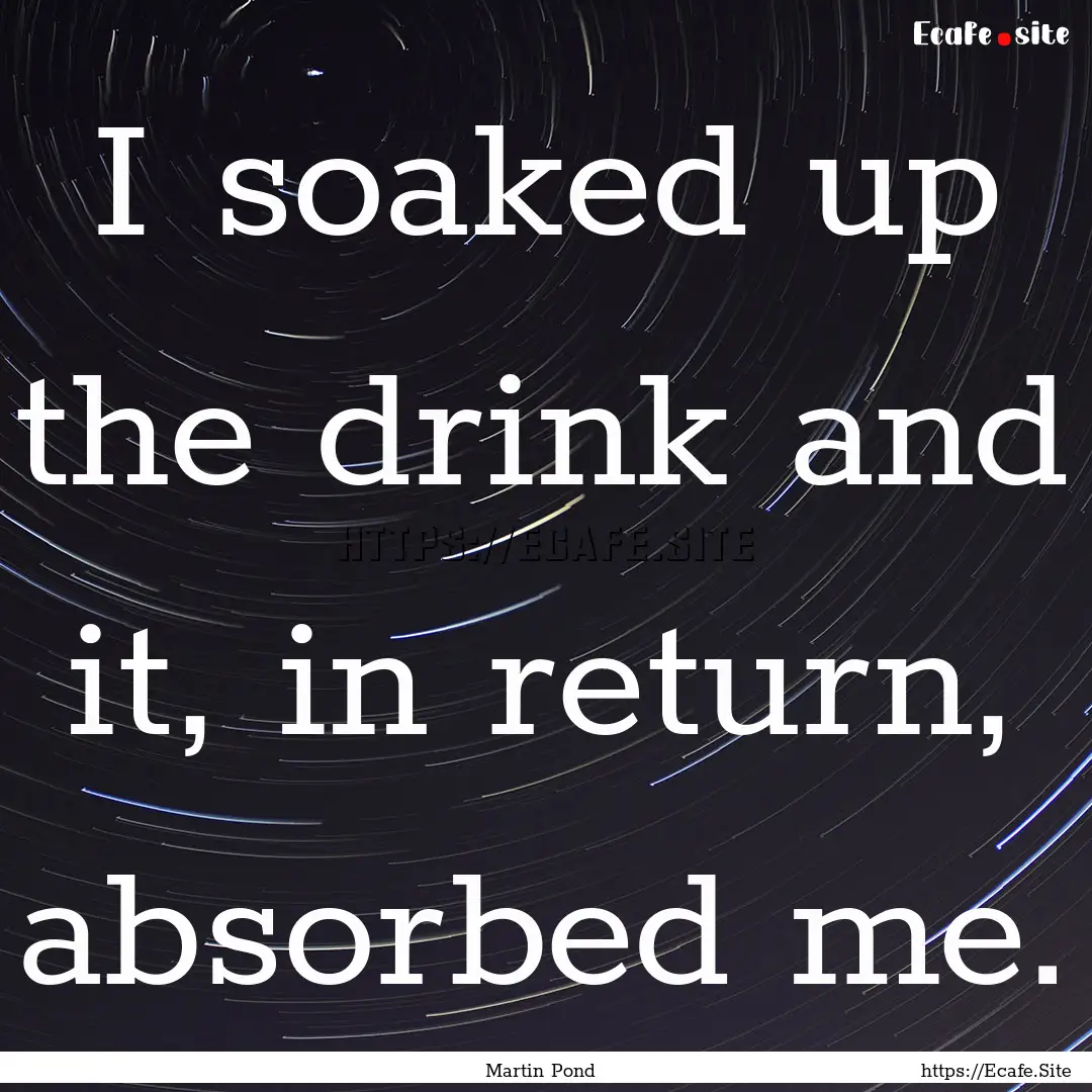 I soaked up the drink and it, in return,.... : Quote by Martin Pond