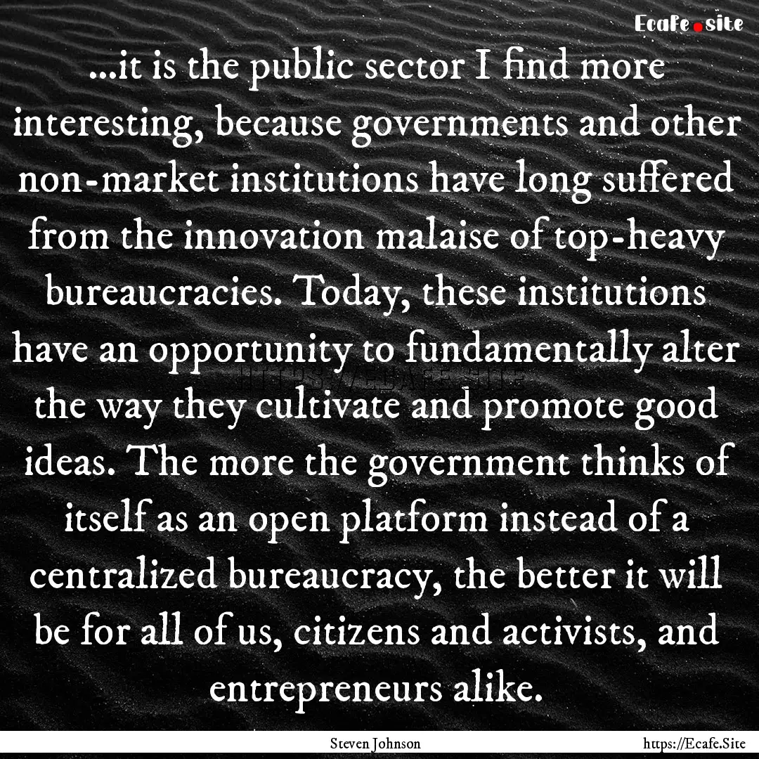 …it is the public sector I find more interesting,.... : Quote by Steven Johnson