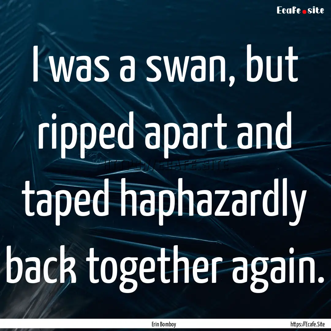 I was a swan, but ripped apart and taped.... : Quote by Erin Bomboy