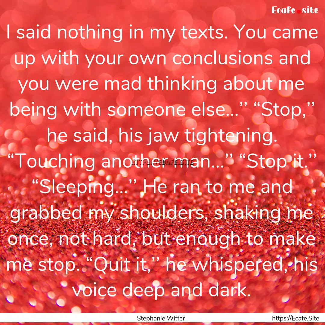 I said nothing in my texts. You came up with.... : Quote by Stephanie Witter