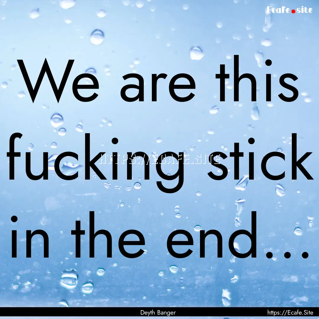 We are this fucking stick in the end... : Quote by Deyth Banger