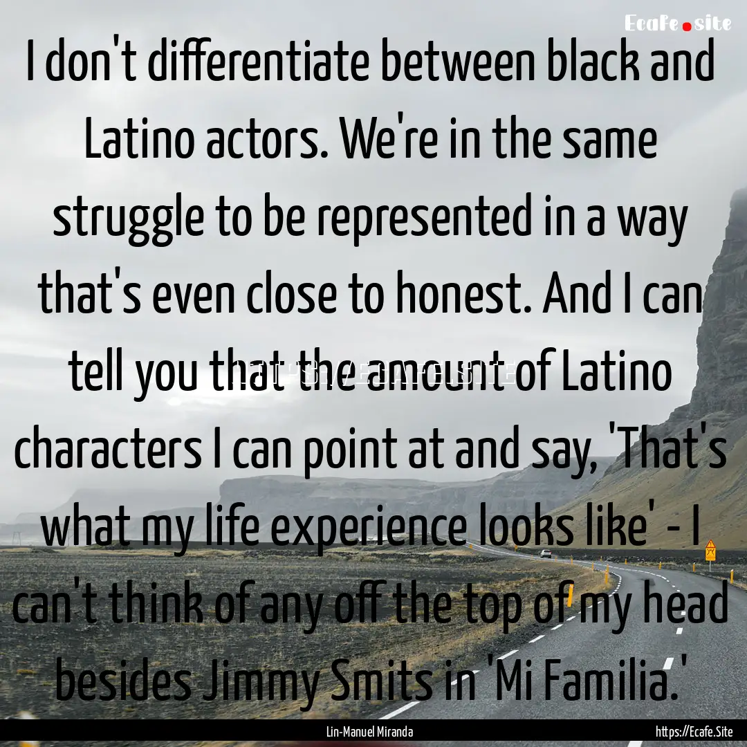 I don't differentiate between black and Latino.... : Quote by Lin-Manuel Miranda