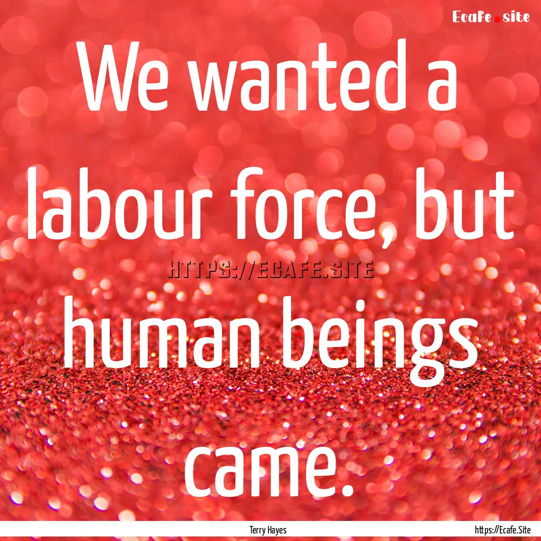 We wanted a labour force, but human beings.... : Quote by Terry Hayes