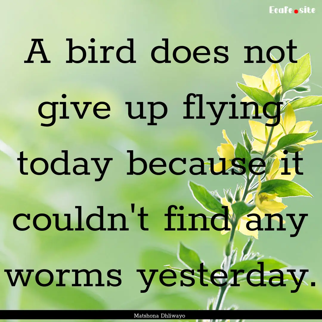 A bird does not give up flying today because.... : Quote by Matshona Dhliwayo