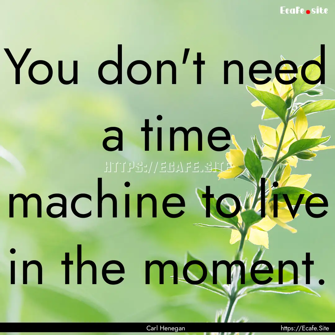 You don't need a time machine to live in.... : Quote by Carl Henegan