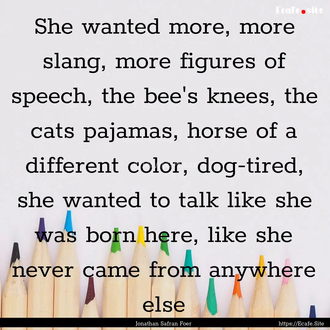 She wanted more, more slang, more figures.... : Quote by Jonathan Safran Foer