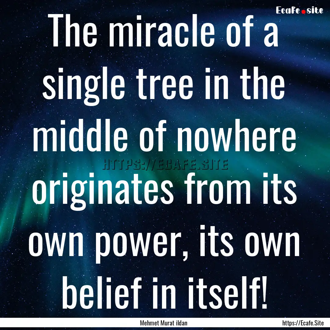 The miracle of a single tree in the middle.... : Quote by Mehmet Murat ildan