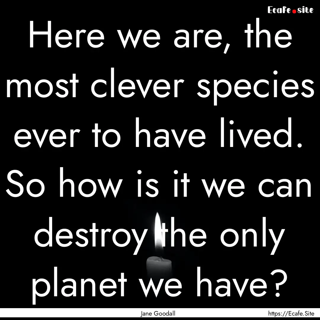 Here we are, the most clever species ever.... : Quote by Jane Goodall