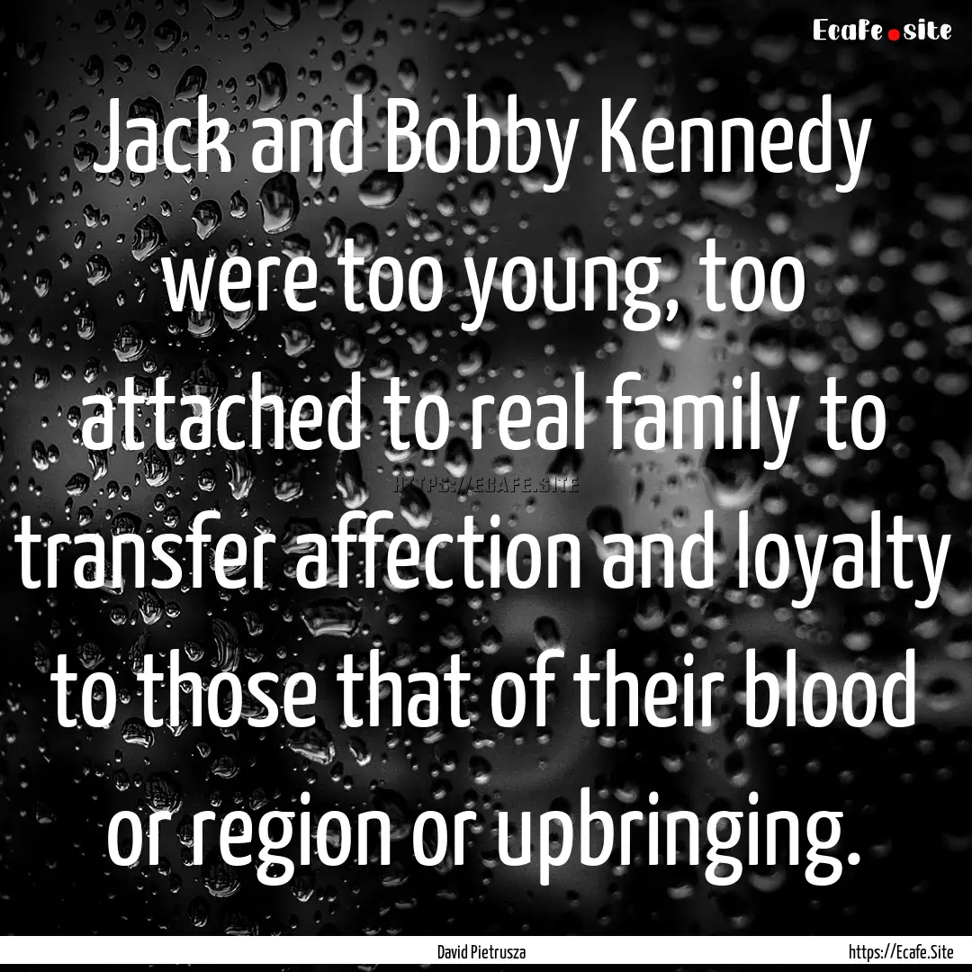 Jack and Bobby Kennedy were too young, too.... : Quote by David Pietrusza