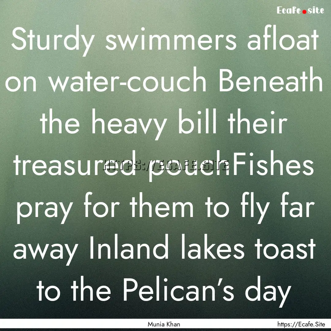 Sturdy swimmers afloat on water-couch Beneath.... : Quote by Munia Khan