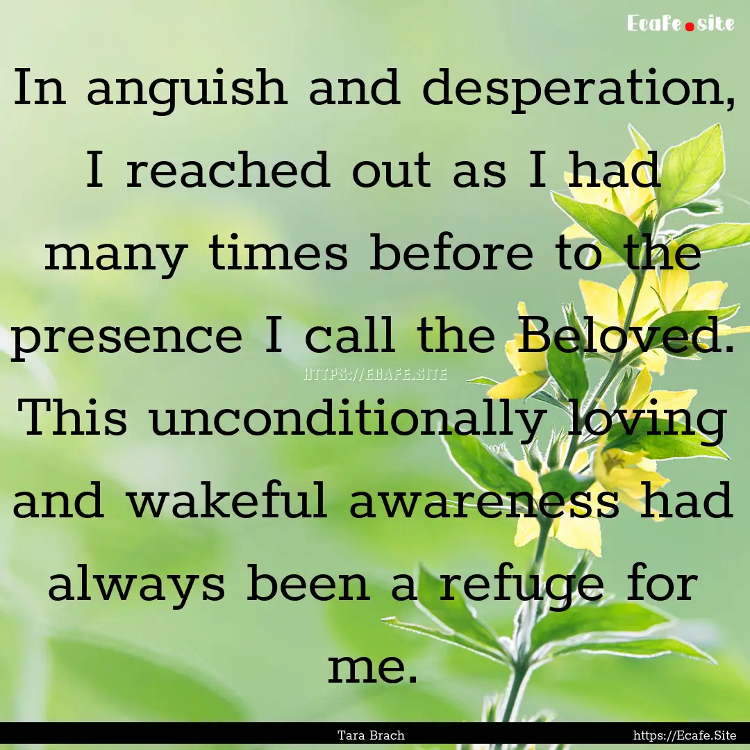 In anguish and desperation, I reached out.... : Quote by Tara Brach