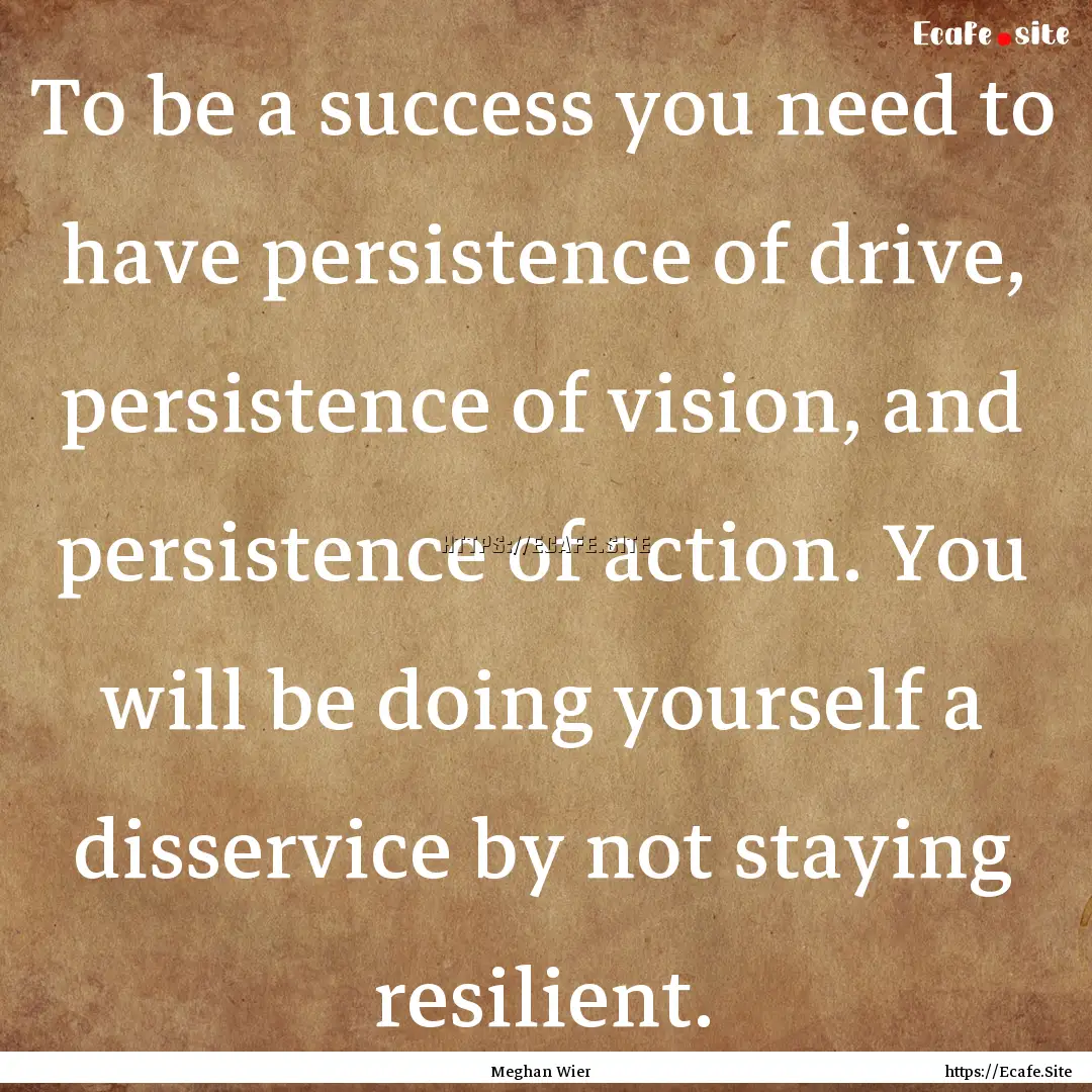 To be a success you need to have persistence.... : Quote by Meghan Wier