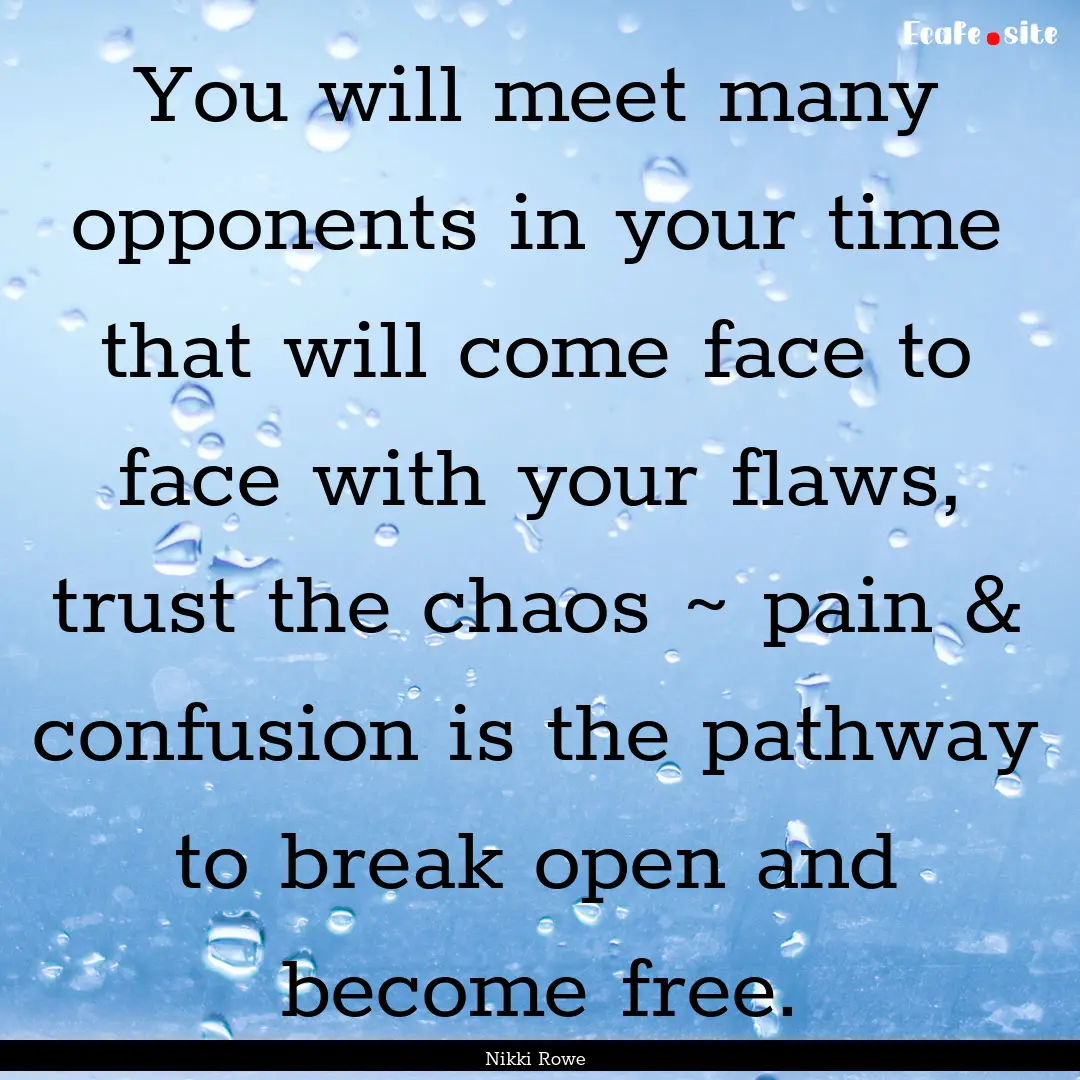 You will meet many opponents in your time.... : Quote by Nikki Rowe