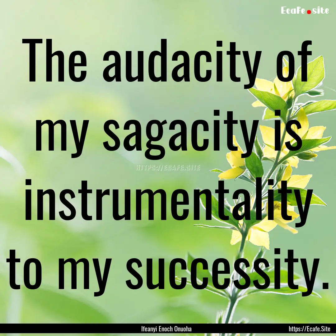 The audacity of my sagacity is instrumentality.... : Quote by Ifeanyi Enoch Onuoha