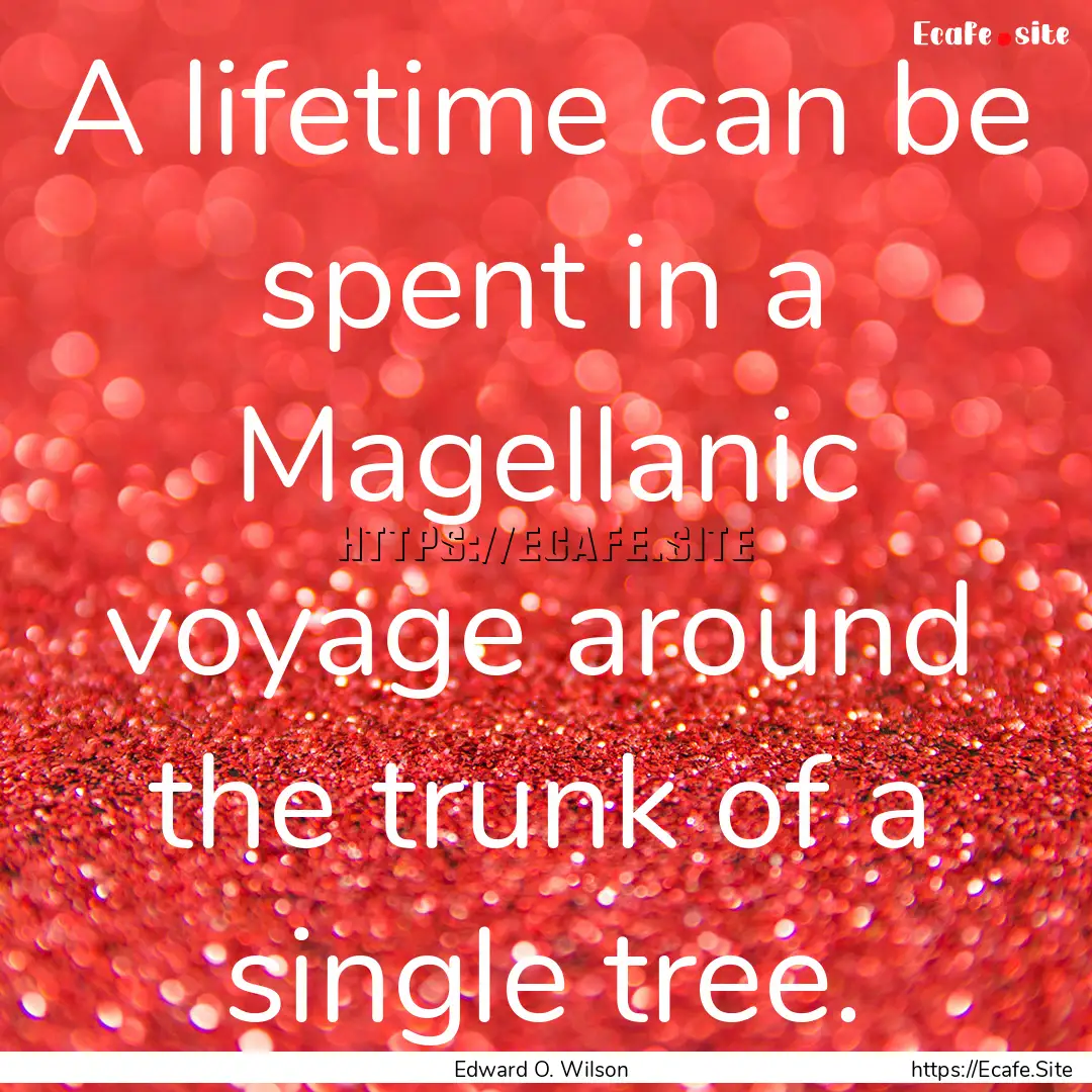 A lifetime can be spent in a Magellanic voyage.... : Quote by Edward O. Wilson