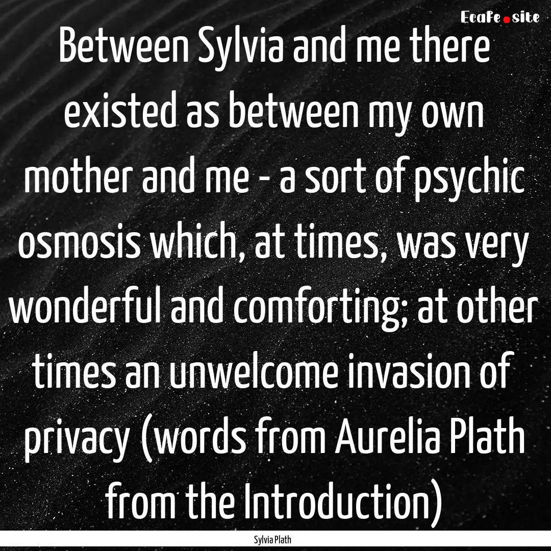 Between Sylvia and me there existed as between.... : Quote by Sylvia Plath