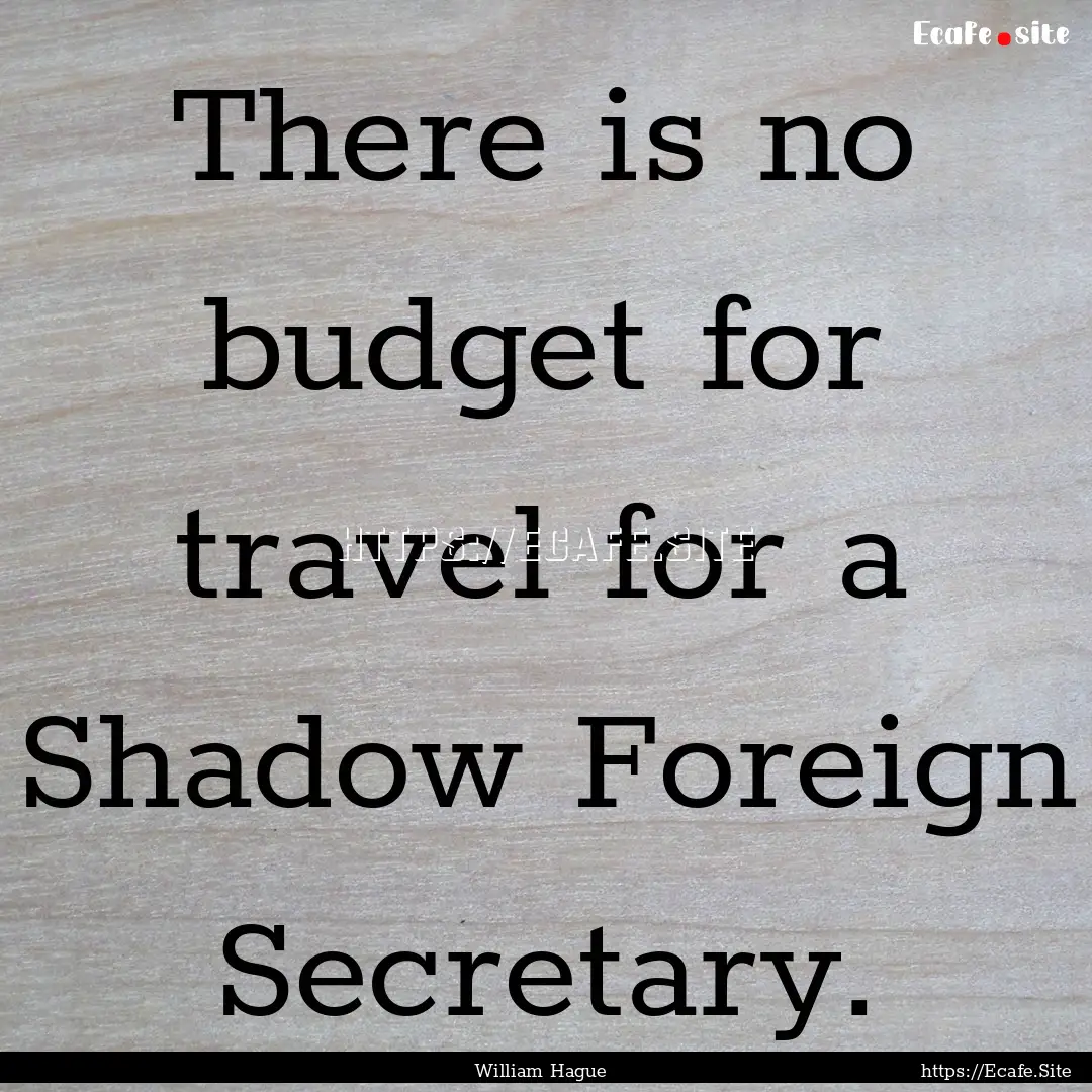 There is no budget for travel for a Shadow.... : Quote by William Hague