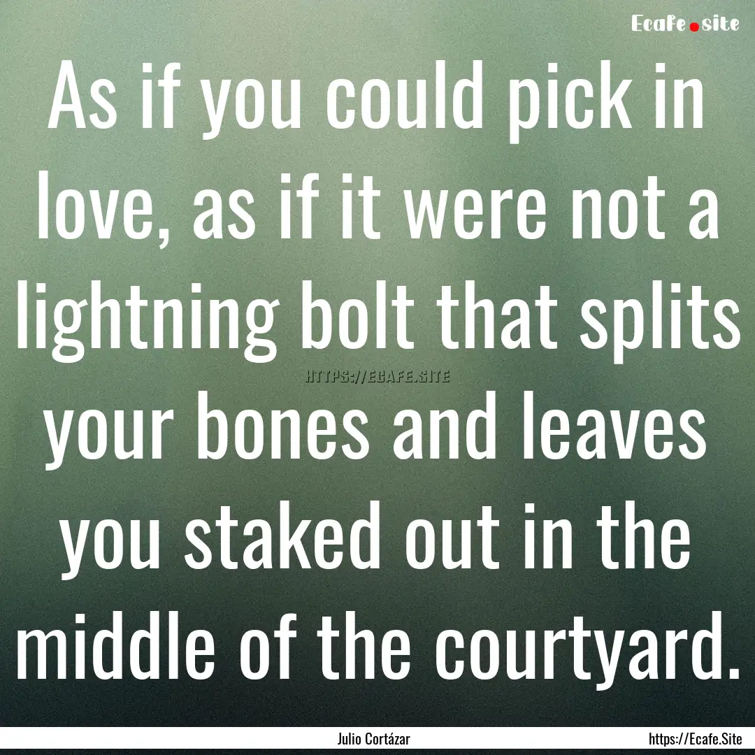 As if you could pick in love, as if it were.... : Quote by Julio Cortázar