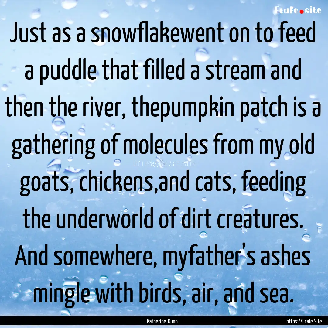 Just as a snowflakewent on to feed a puddle.... : Quote by Katherine Dunn