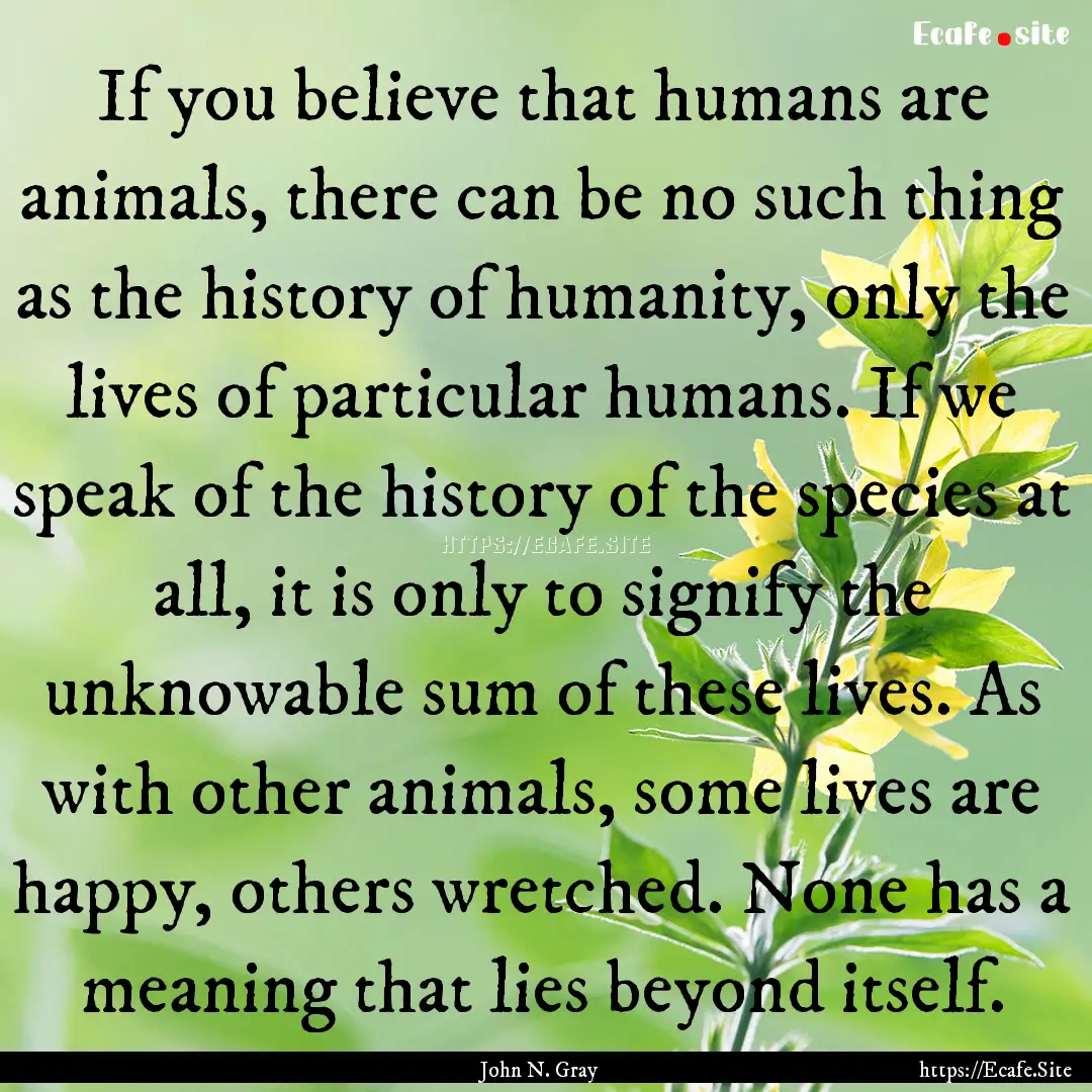 If you believe that humans are animals, there.... : Quote by John N. Gray