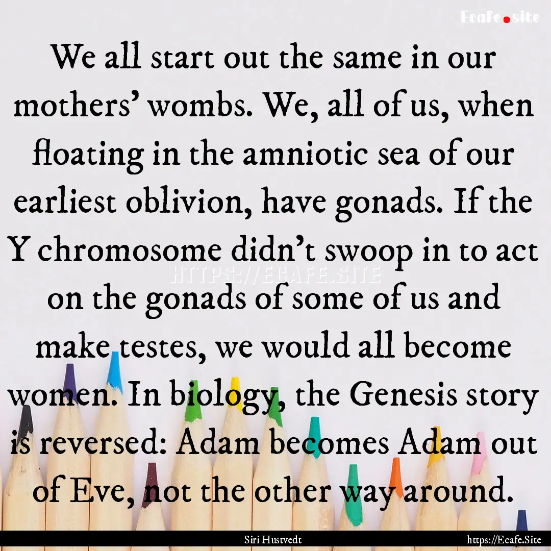 We all start out the same in our mothers'.... : Quote by Siri Hustvedt