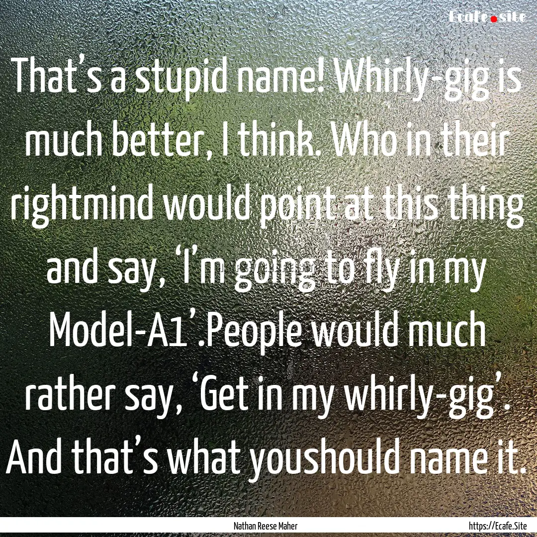 That’s a stupid name! Whirly-gig is much.... : Quote by Nathan Reese Maher