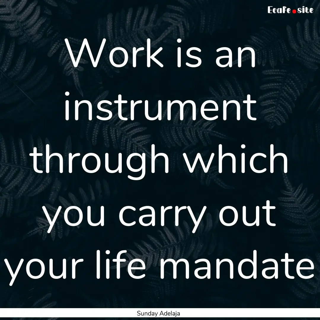 Work is an instrument through which you carry.... : Quote by Sunday Adelaja