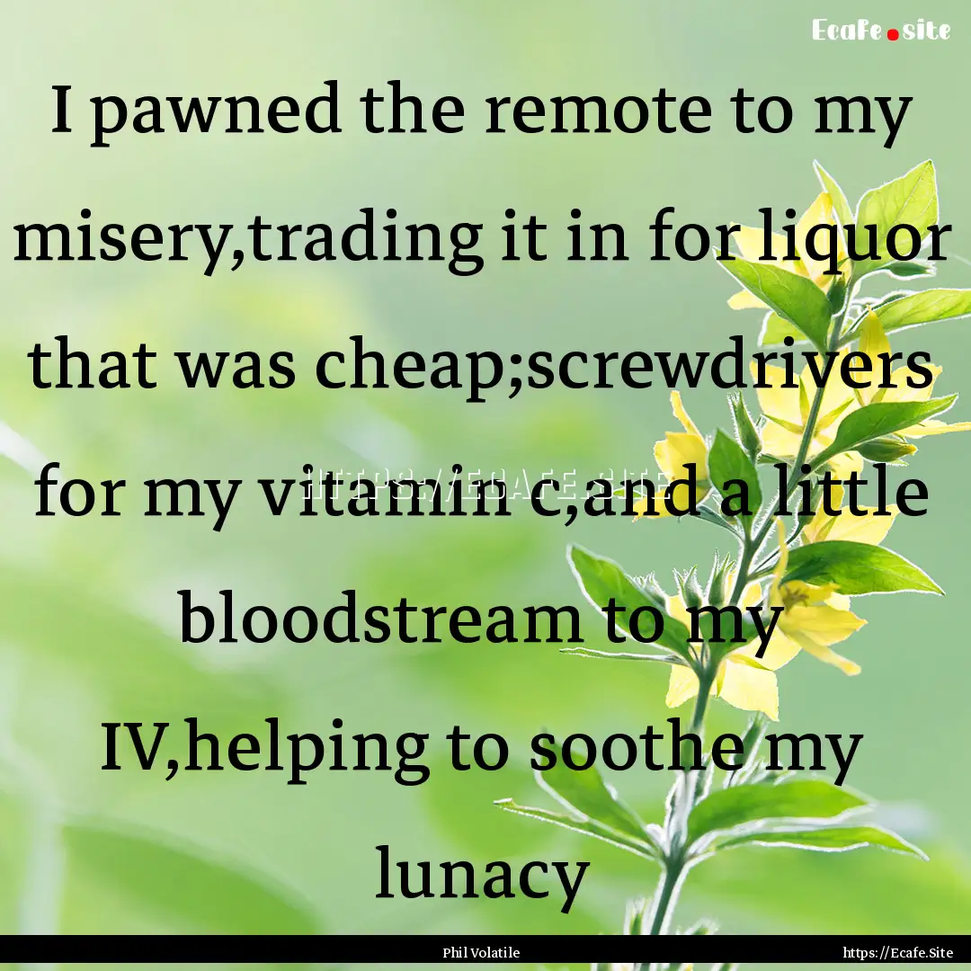 I pawned the remote to my misery,trading.... : Quote by Phil Volatile