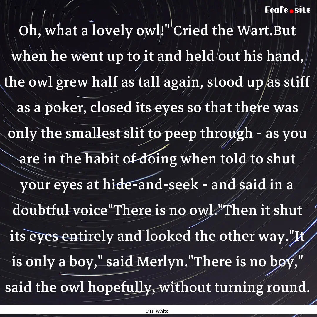 Oh, what a lovely owl!