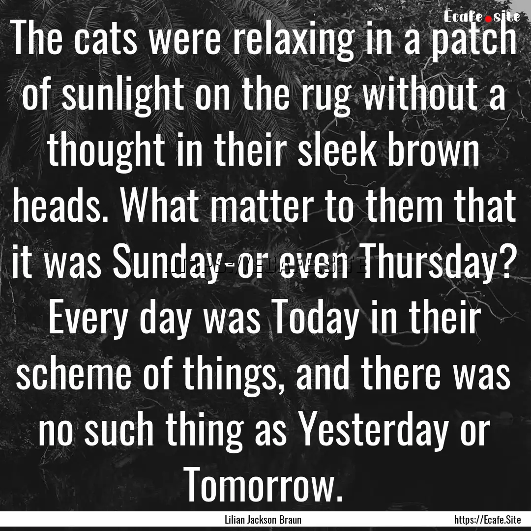 The cats were relaxing in a patch of sunlight.... : Quote by Lilian Jackson Braun