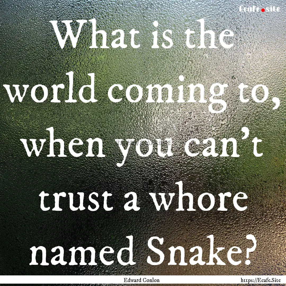 What is the world coming to, when you can't.... : Quote by Edward Conlon