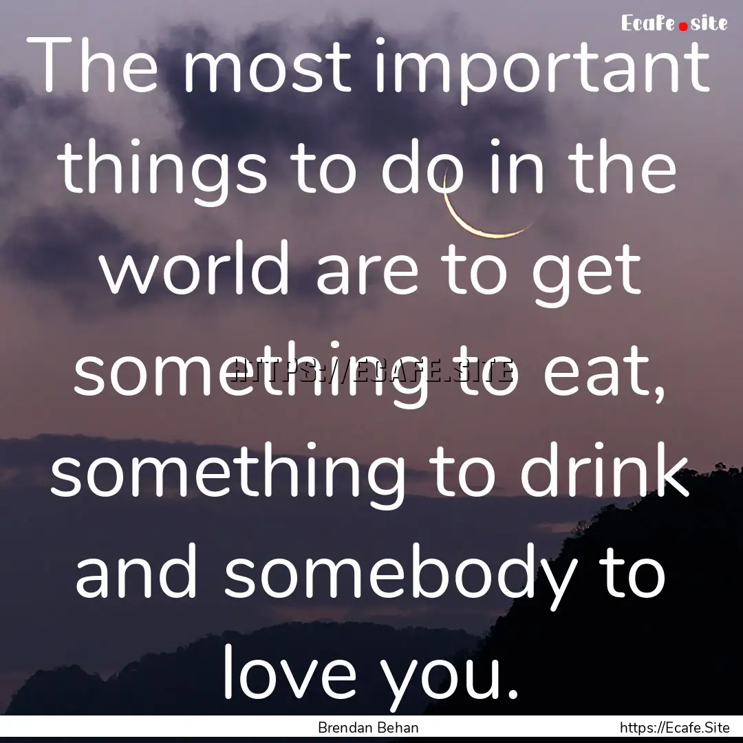 The most important things to do in the world.... : Quote by Brendan Behan