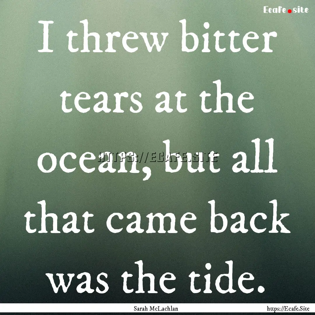 I threw bitter tears at the ocean, but all.... : Quote by Sarah McLachlan