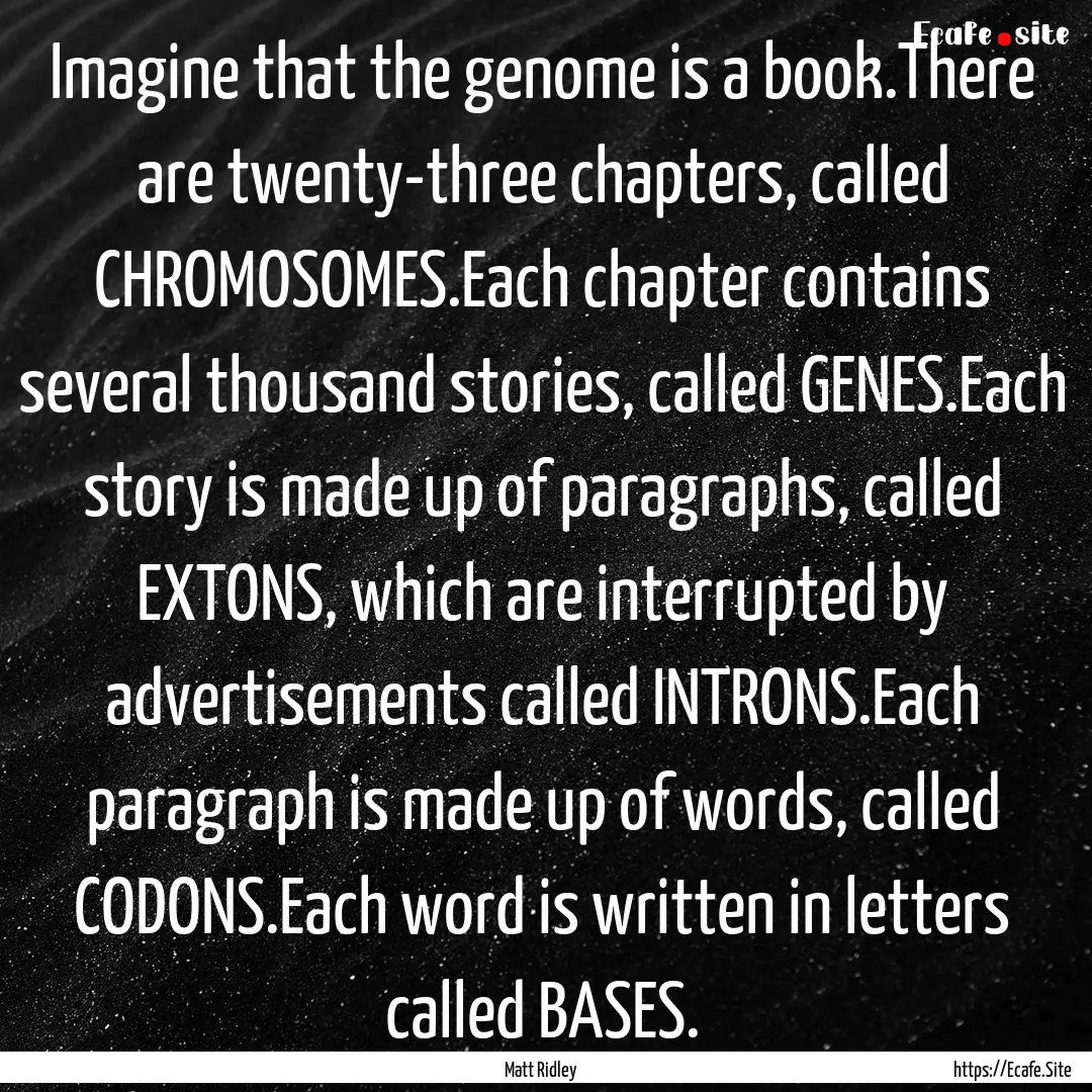 Imagine that the genome is a book.There are.... : Quote by Matt Ridley