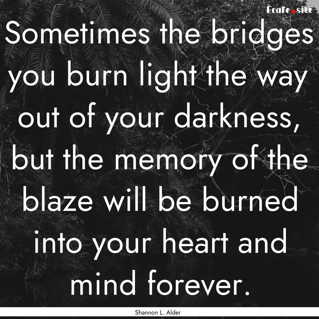 Sometimes the bridges you burn light the.... : Quote by Shannon L. Alder