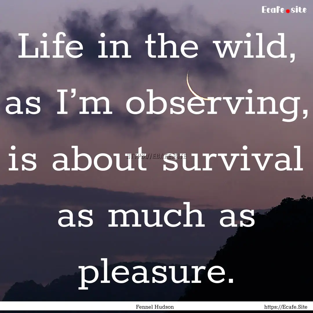 Life in the wild, as I’m observing, is.... : Quote by Fennel Hudson