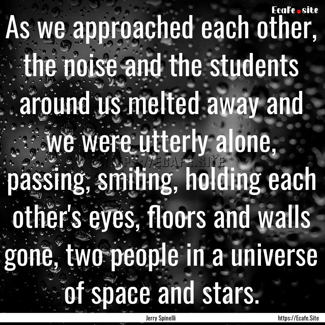 As we approached each other, the noise and.... : Quote by Jerry Spinelli