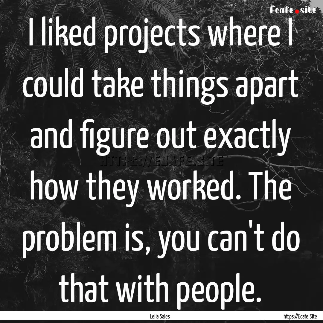 I liked projects where I could take things.... : Quote by Leila Sales