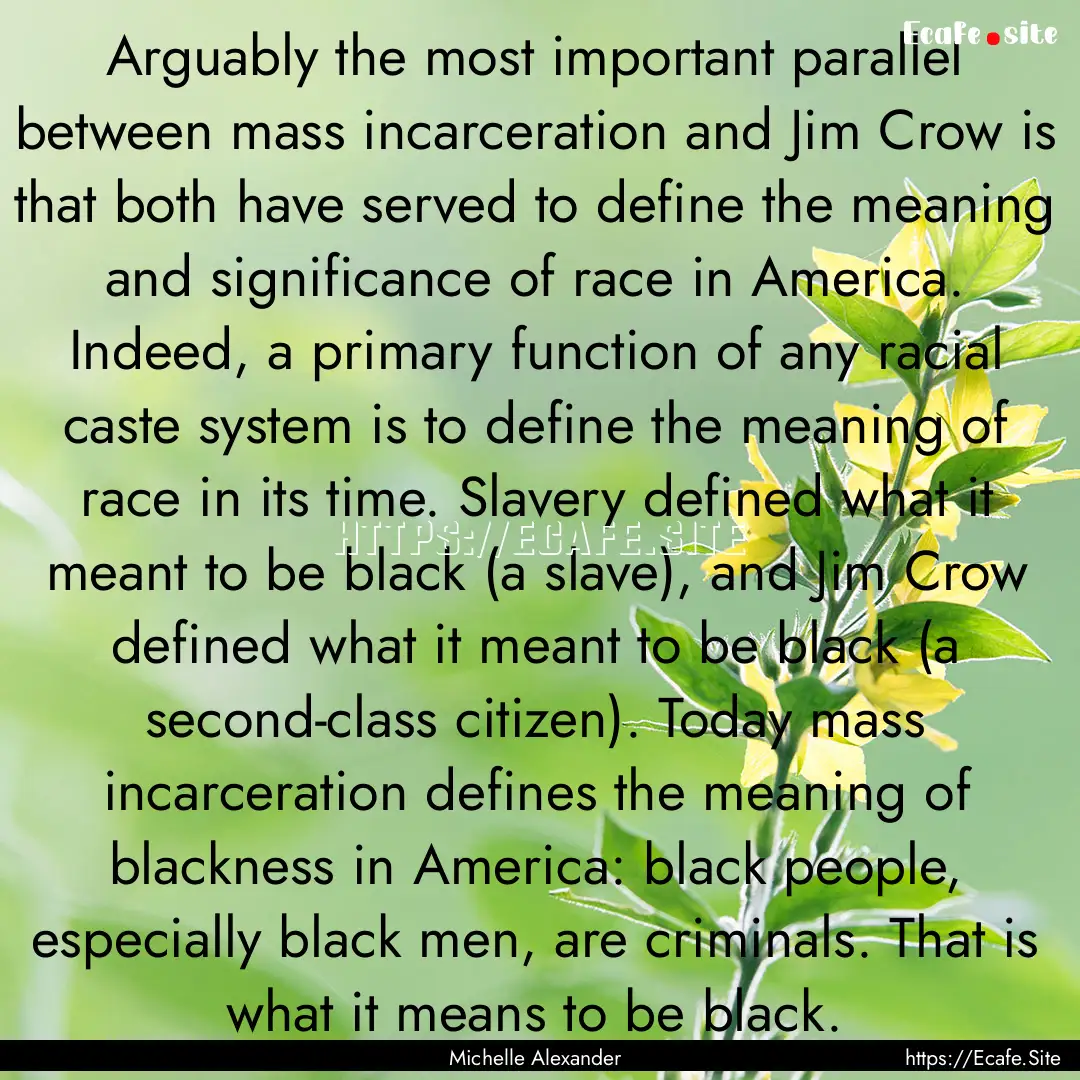 Arguably the most important parallel between.... : Quote by Michelle Alexander