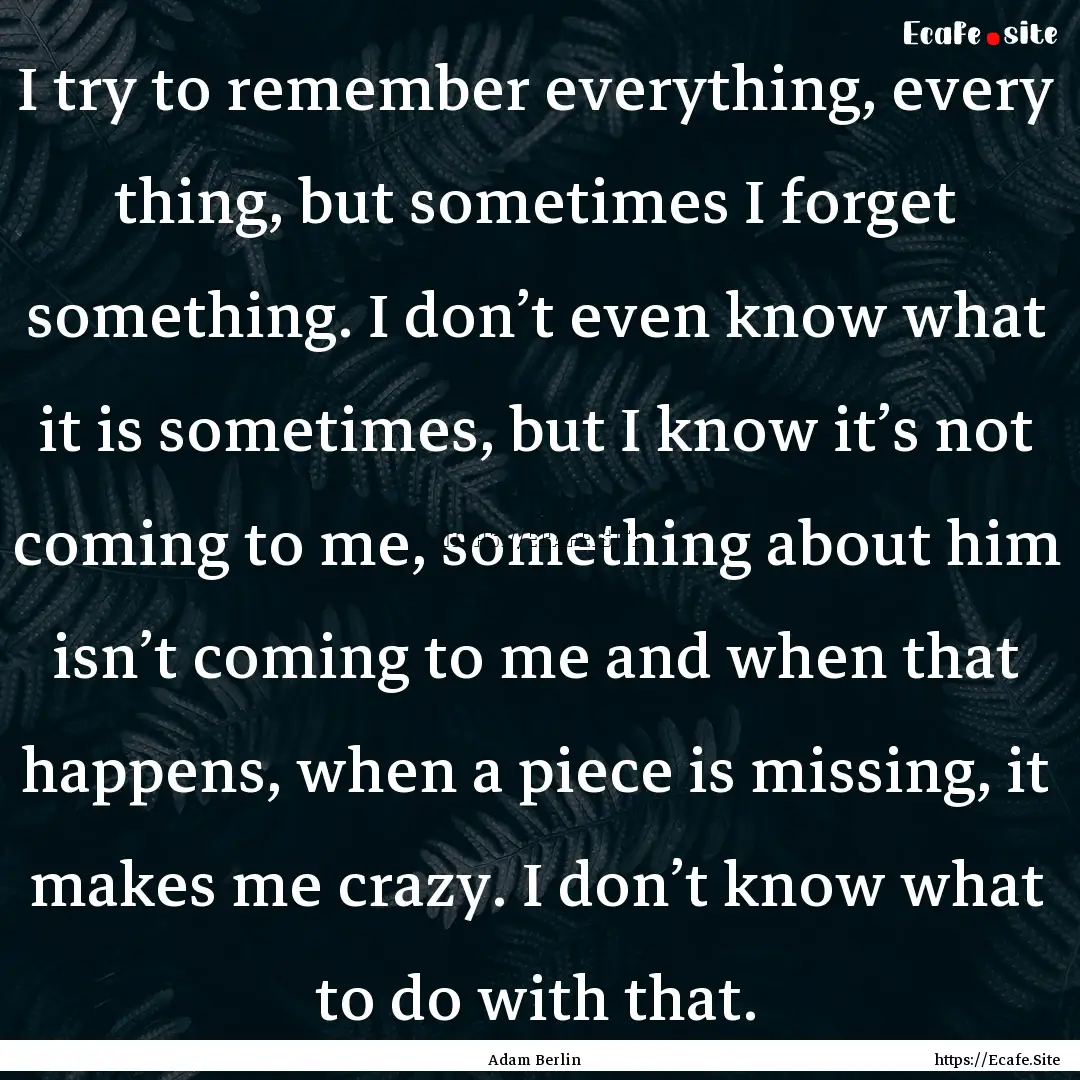 I try to remember everything, every thing,.... : Quote by Adam Berlin