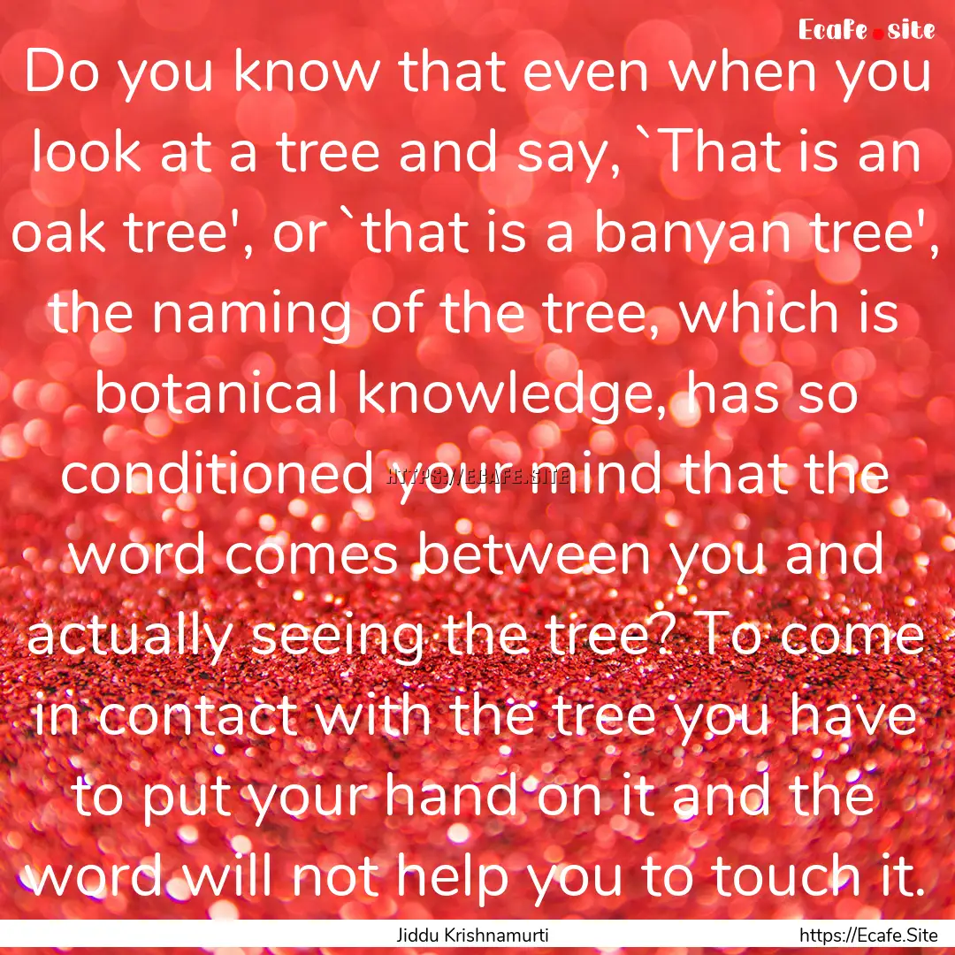 Do you know that even when you look at a.... : Quote by Jiddu Krishnamurti