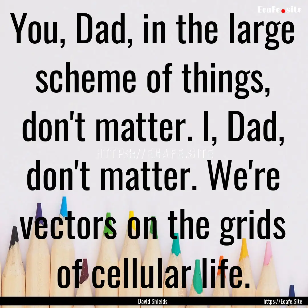 You, Dad, in the large scheme of things,.... : Quote by David Shields