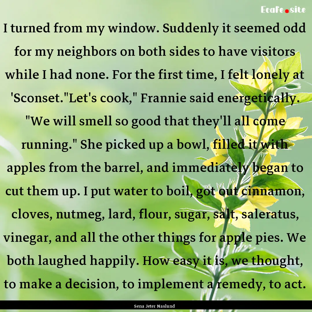 I turned from my window. Suddenly it seemed.... : Quote by Sena Jeter Naslund